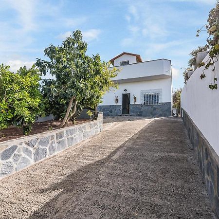 Raices Vivas Vivienda Vacacional 维加-德圣马特奥 外观 照片